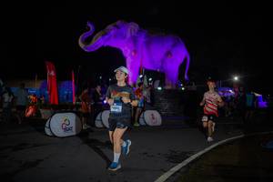 BIB: 
                            <button type="button" onclick="openModal(26551837)" class="btn btn-primary btn-sm float-right btn-popup" data-toggle="modal" data-target=".modal-high-quality">
                        <i class="fas fa-shopping-cart"></i> Add to Cart
                    </button>
                                            <button type="button" onclick="isThisMe(26551837, true)" class="btn btn-success btn-sm float-right btn-popup btn-isme hidden" data-toggle="tooltip" data-placement="bottom" title="นี่คือรูปของคุณใช่ไหม คลิกที่นี่เพื่อเอาเข้าอัลบั้ม">
                        <i class="fas fa-plus"></i> Add to album
                    </button>
                    <button type="button" onclick="isThisMe(26551837, false)" class="btn btn-warning btn-sm float-right btn-popup btn-isnotme hidden">
                        <i class="fas fa-ban"></i> Remove from album
                    </button>